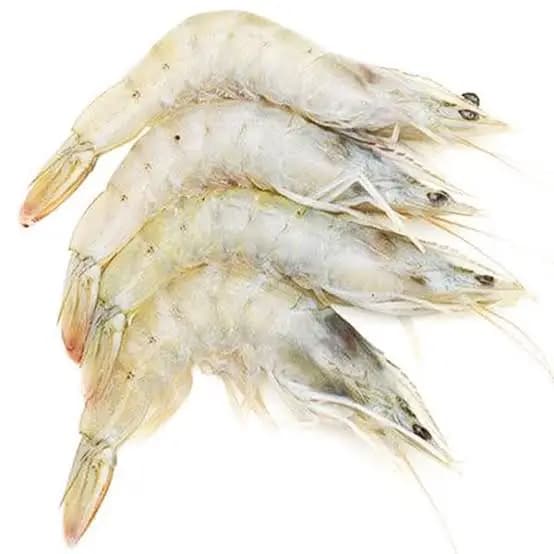 White Shrimp